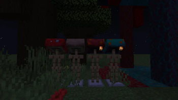 Showcase Dark