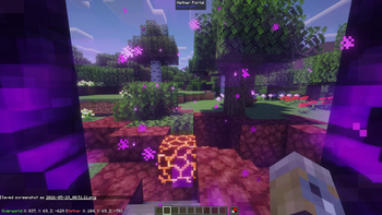 Going into portal
