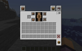Player wearing armor
