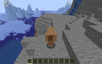 Player wearing armor in F5