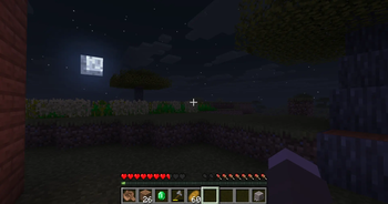 Night time looking at moon and crops