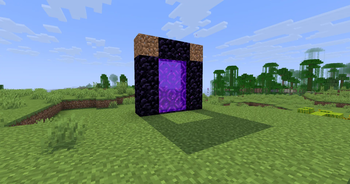 Day time looking at nether portal