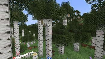 Updated Birch Forest!