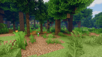 Forrest with spacial trees