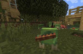 A Slabfish plays the flute...
