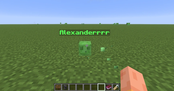 Alexander.