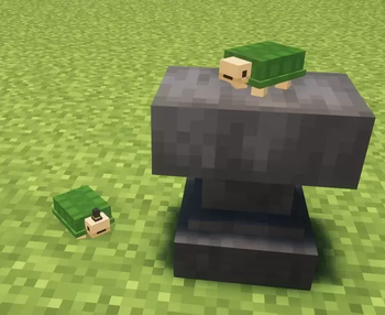 Turtle Plushie Pack Cover