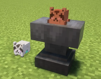 Racoon Plushie Pack Cover