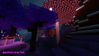 The Mushroom Forest