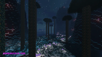 The Teal Glades
