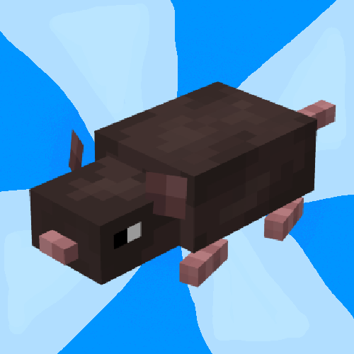 Felix's rats