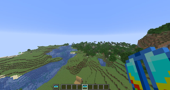 elytra (parrot wings)