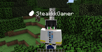 Third-Person Nametags