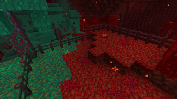 Crimson and Warped Fence in Nether