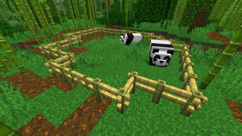 Bamboo Fence in Jungle