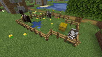 Oak Fence in Plains Village