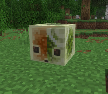 Sulfur Cube Plains