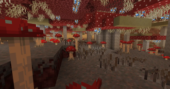 Mushroom Forest