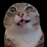 Pio_oterr