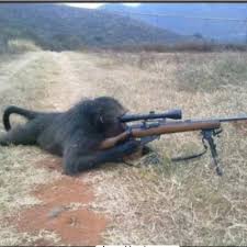 ThaMonkey