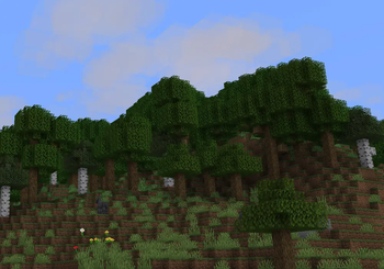 treeline and better clouds