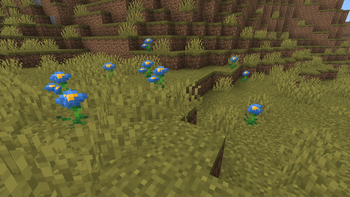 Bountiful Bounty — screenshot 2