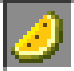 Golden melon slice