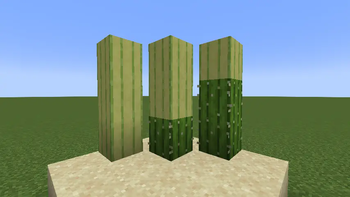 Stripped Cactus