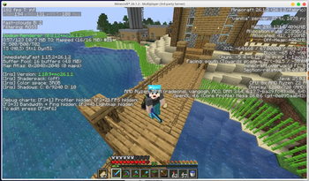 Server Test (Overworld)