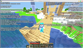 FRP Shader Test (Overworld Server)