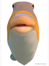 FischFGF