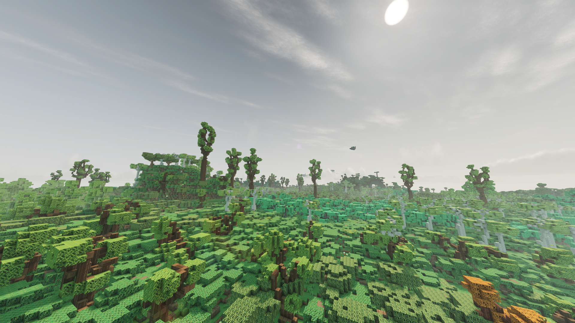 A crazy forest