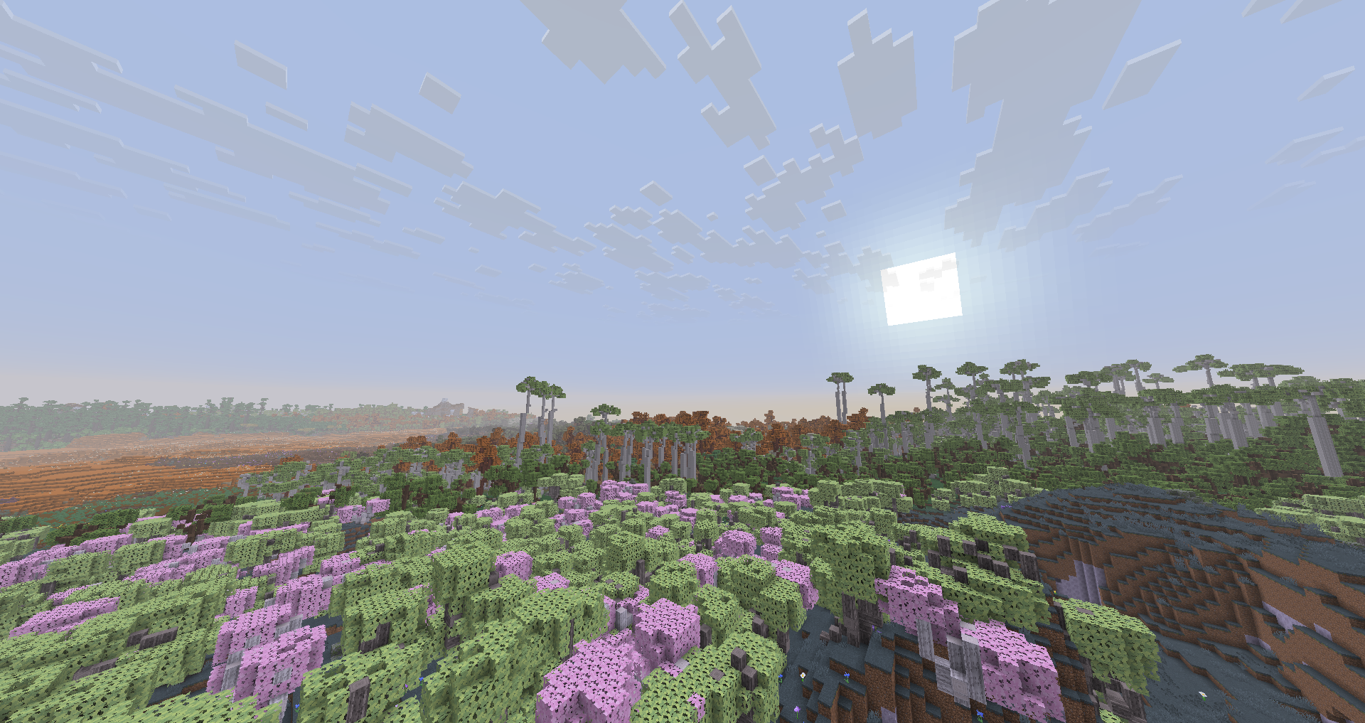 A fantasy forest, with a desert in the background. There are a mix of several colored trees, and their height vary from 5-9 blocks tall to over 50