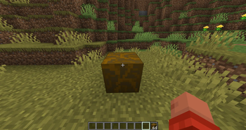 Block of Boron