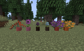 Nature's Spirit Flowers in Dyed Flower Pots