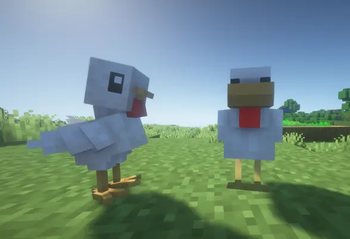 Roostama and.... a friend?