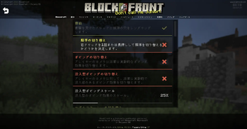 BlockFront Setting