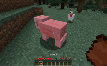 Desaddling Pigs