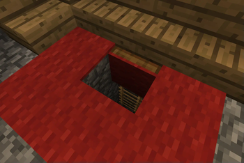 Carpeted Trapdoor