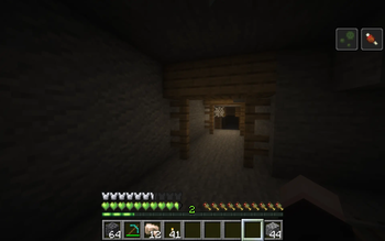 In-game view