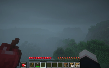 In-game view