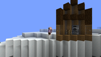 Rotated Demonstration