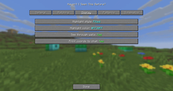 Display settings — highlight style, color, see-through, chat coords