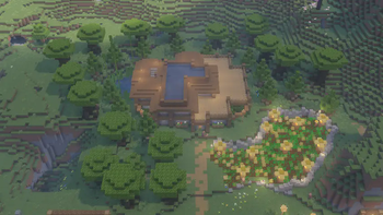 Shader support