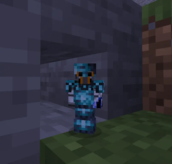 The Shrink Armor