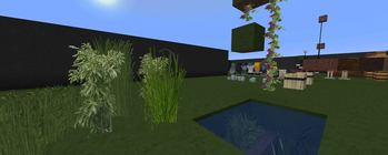 Plants