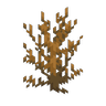 Dead Bushes