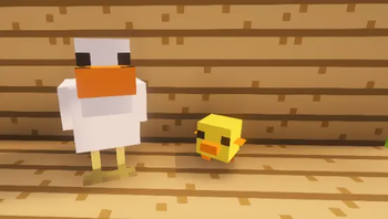 DUCKS