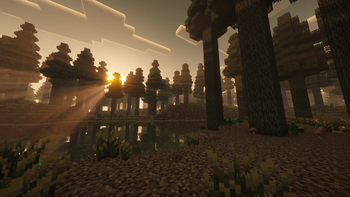 Deep Vera Forest