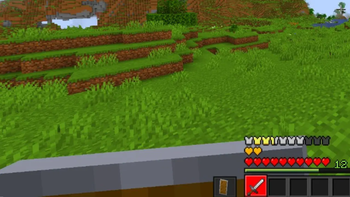 With Texture pack